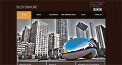 Desktop Screenshot of chicagoelectrolysis.com